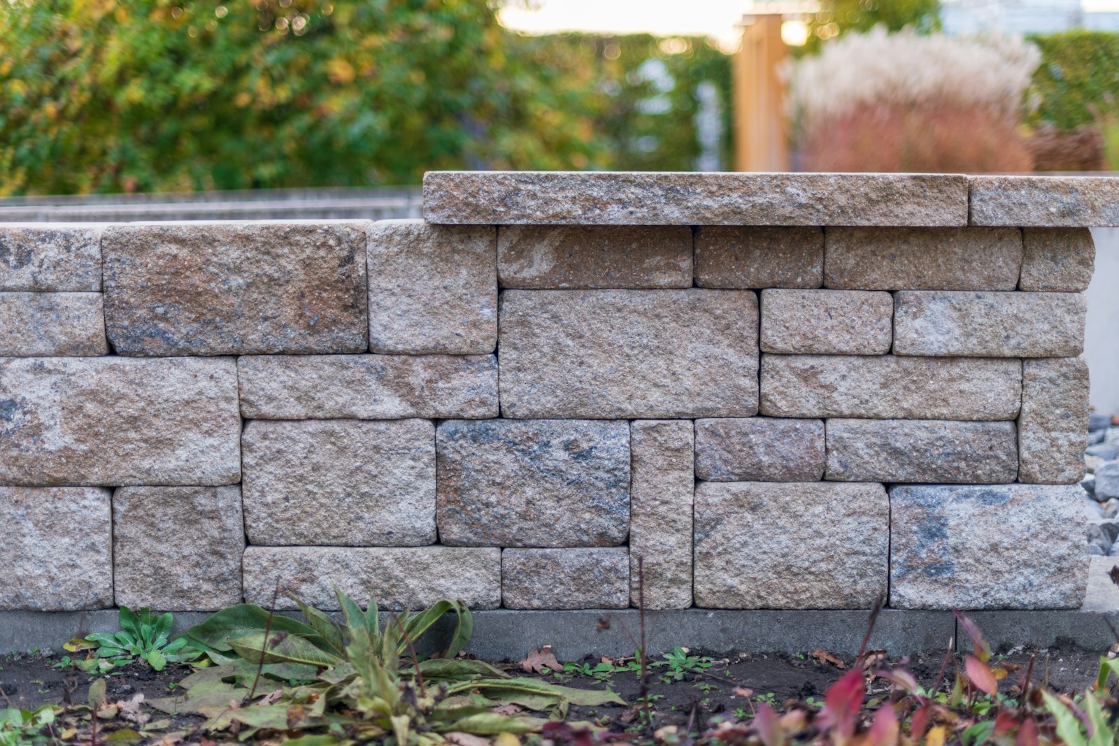 Natural stone wall with planting in a garden